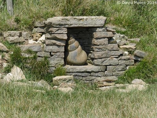Shell Sculpture by Peter Randall Page
