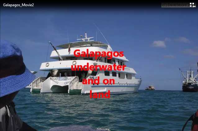 Galapagos